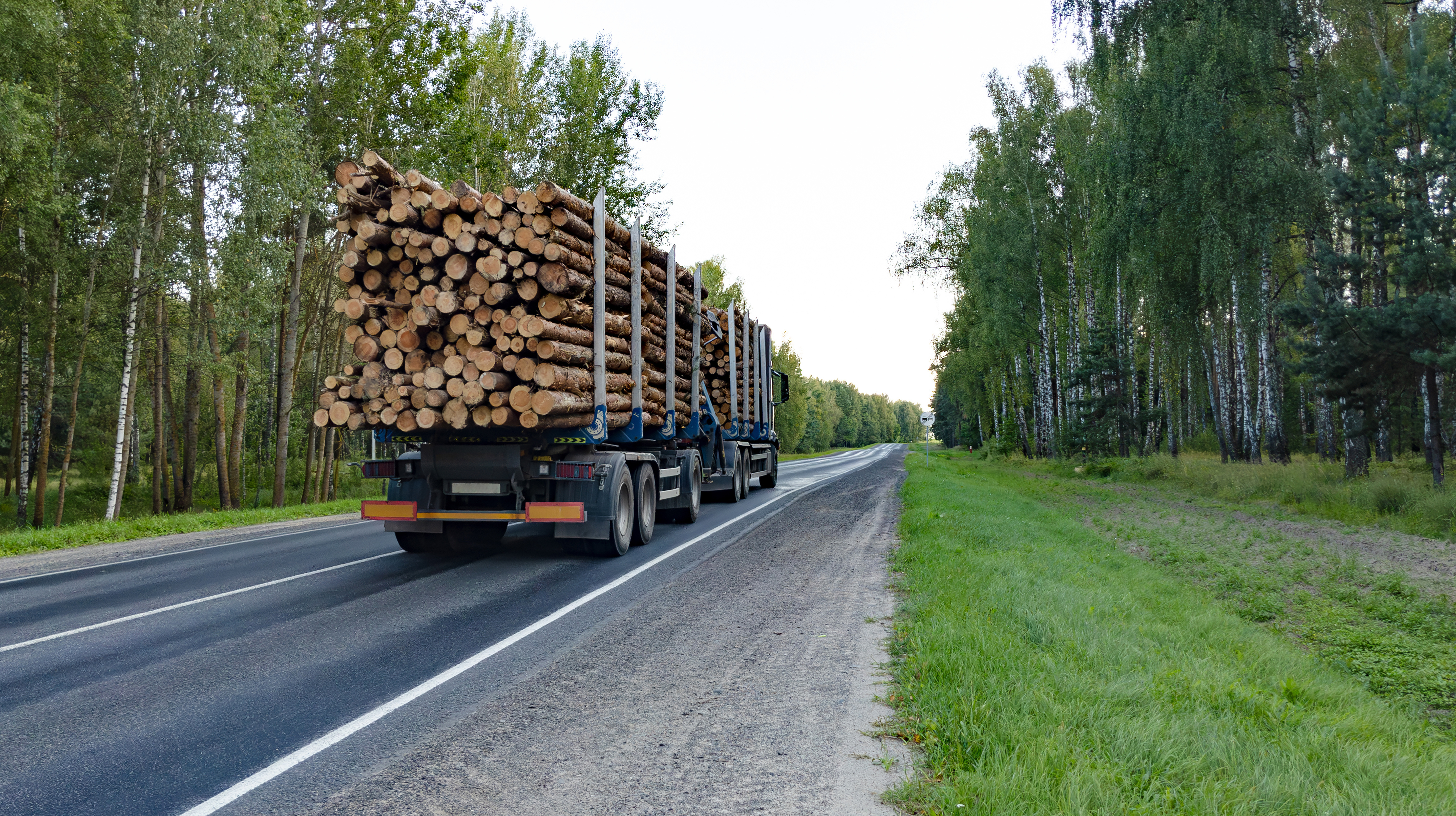 Sixty Years in the Making: What Sweden’s Wood Purchasing Infrastructure Can Teach the Baltics