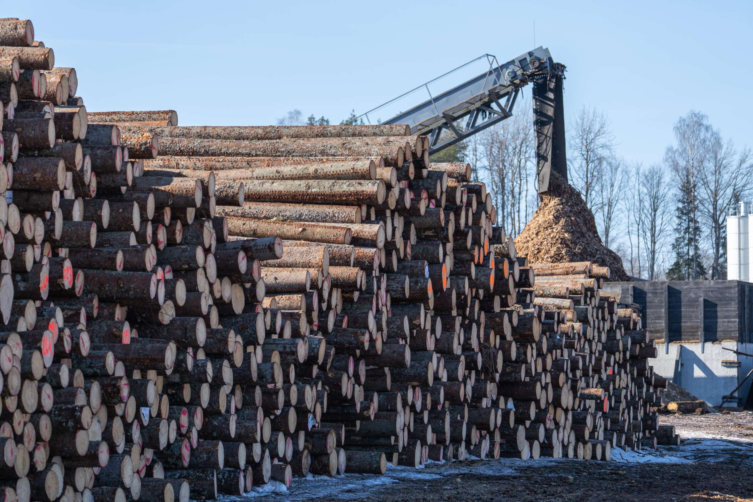 Timber Transport Truck Forest