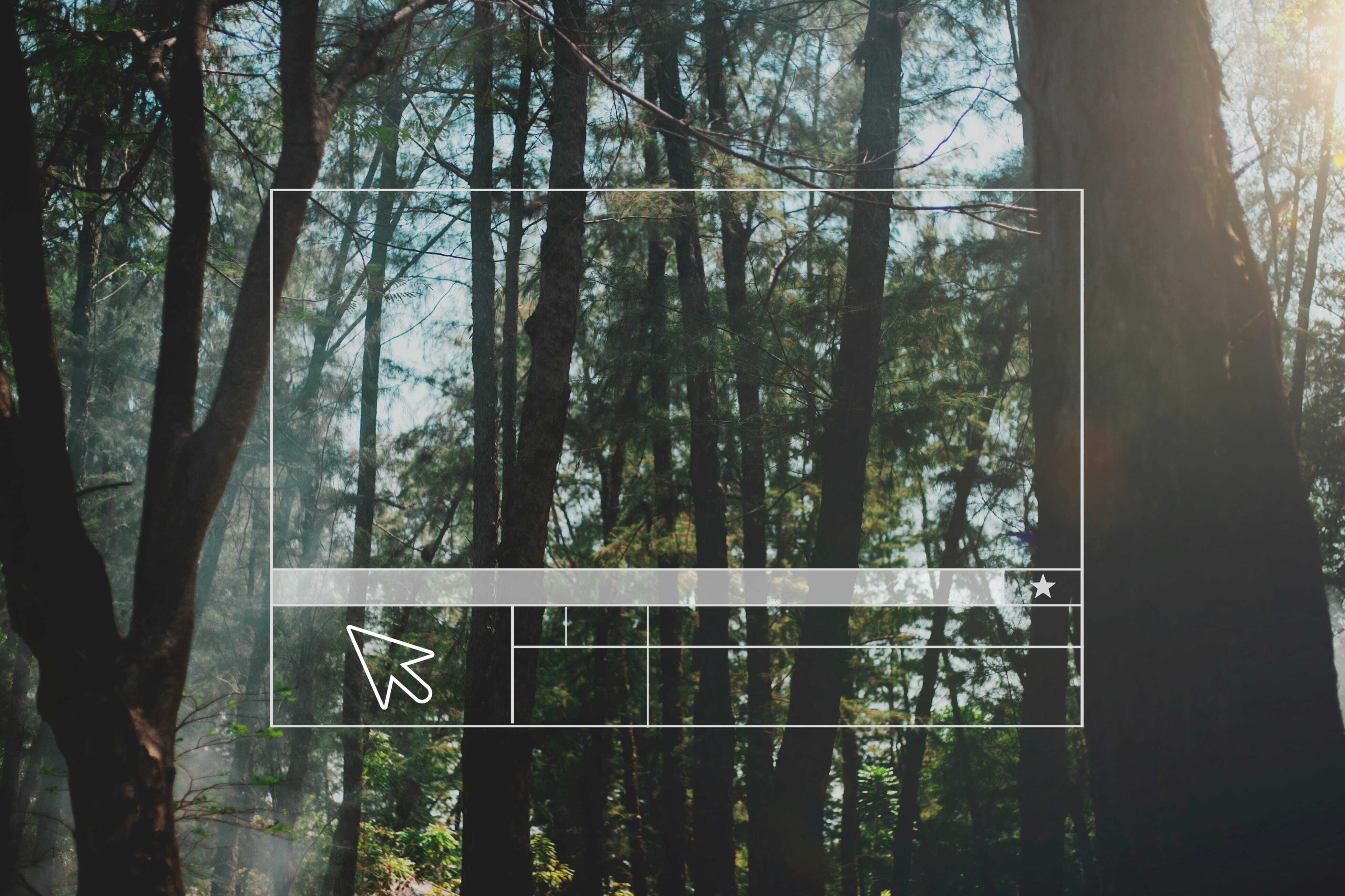 A Smarter Way to Keep Forest Owners Informed