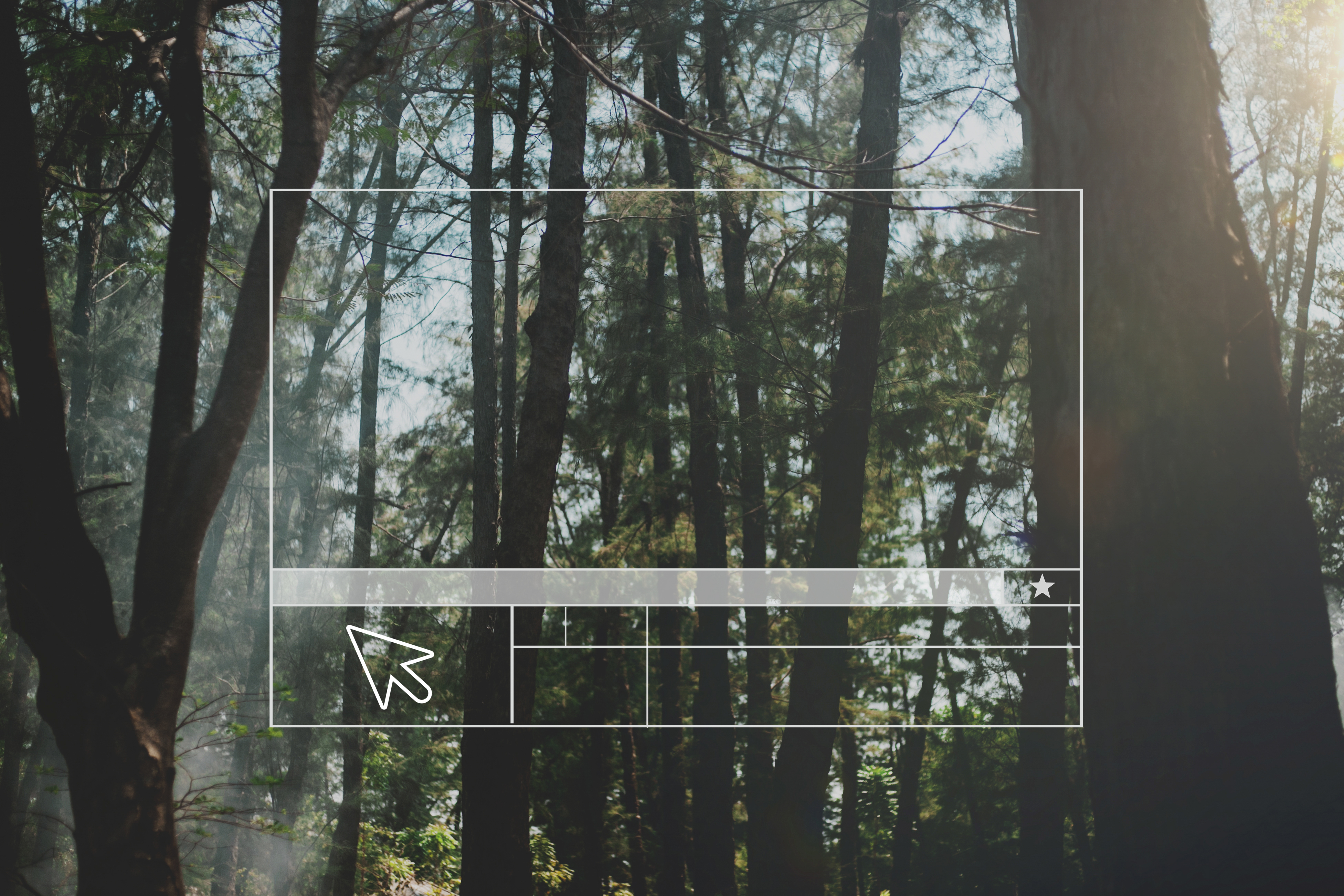 forest banner